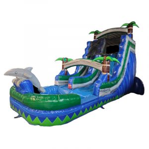 Water Slide Dolphin 18FT